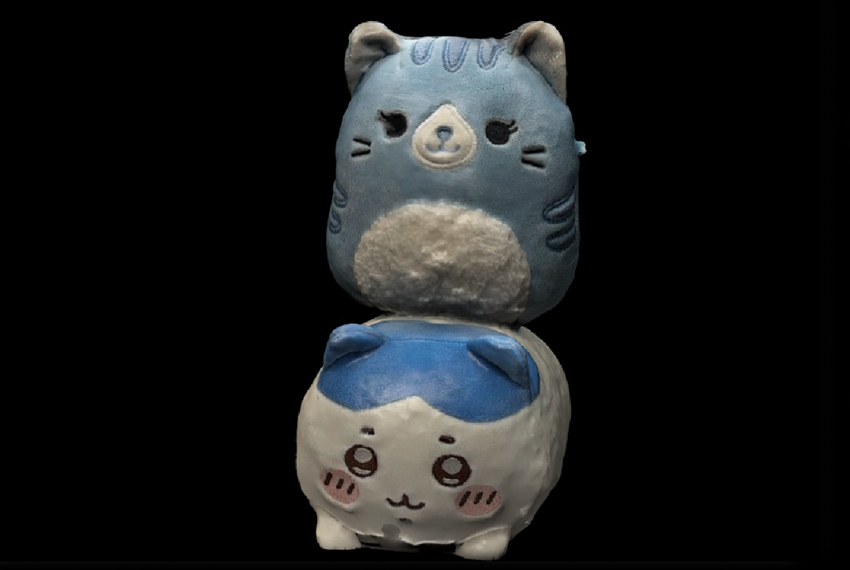 Fixing 3D Scanned Objects